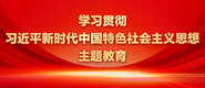 嗯啊哈嗯好爽视频学习贯彻习近平新时代中国特色社会主义思想主题教育_fororder_ad-371X160(2)